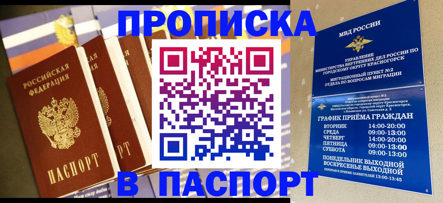 прописка гарантия в Дубне